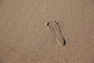 《机器人少女之梦》Steam页面上线 美少女AI养成